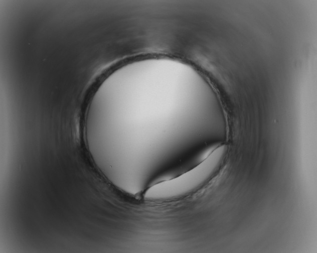 X0000094231214200711161902