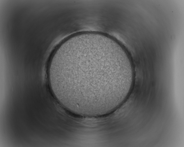 X0000094231215200711161902