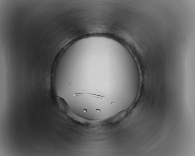 X0000094231217200711161902