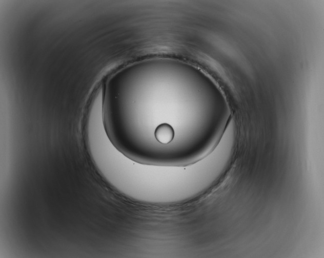 X0000094231218200711161902