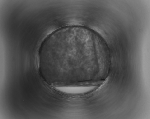 X0000094231219200711161902