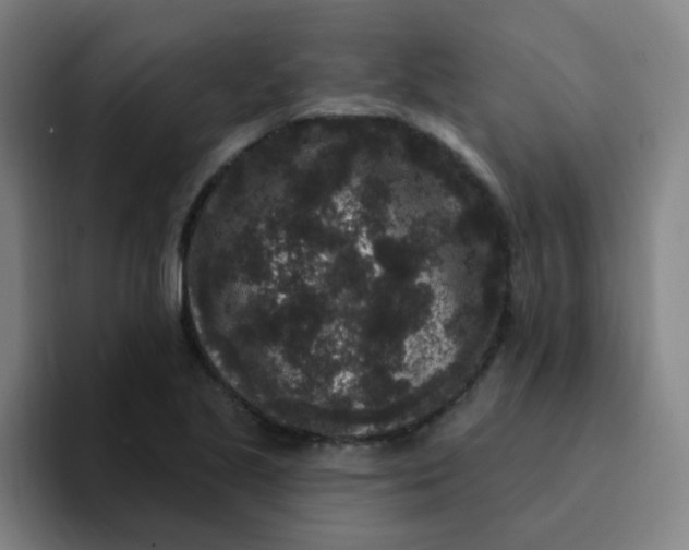 X0000094231221200711161902