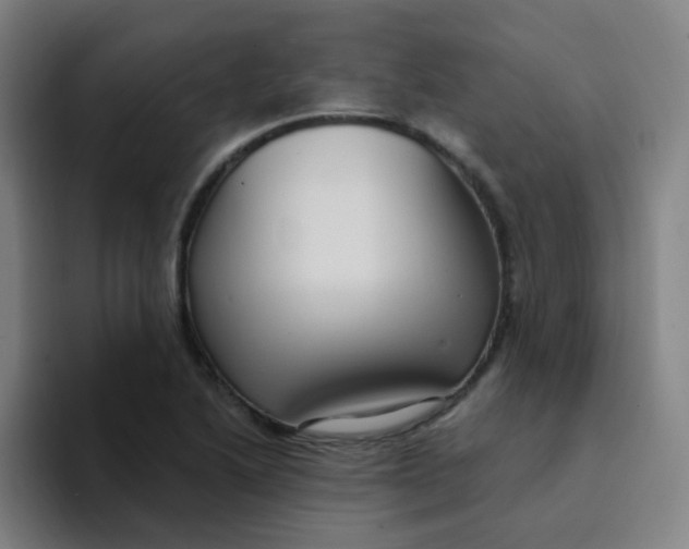 X0000094231222200711161902