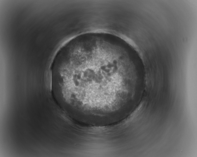 X0000094231223200711161902