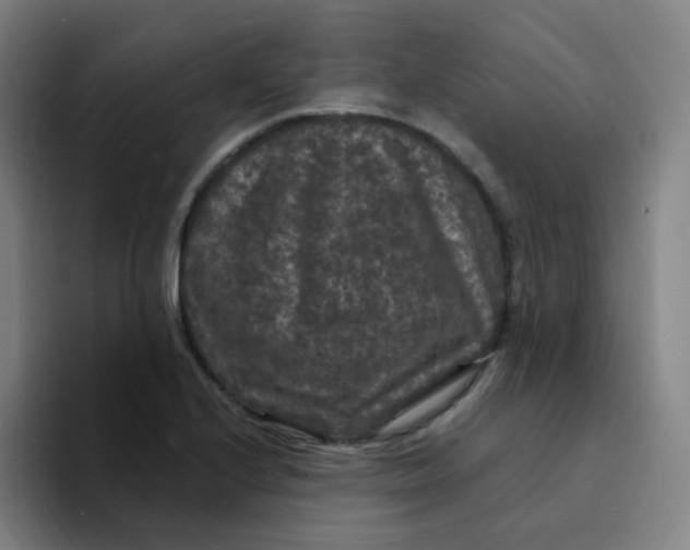 X0000094231224200711161903