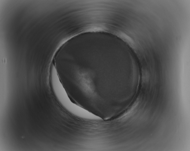 X0000094231226200711161903