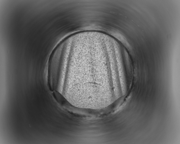 X0000094231228200711161903