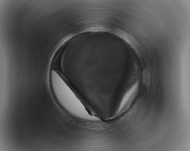 X0000094231229200711161903