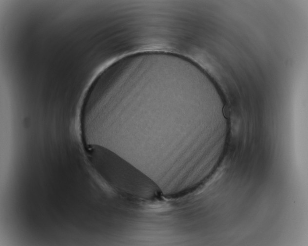 X0000094231230200711161903