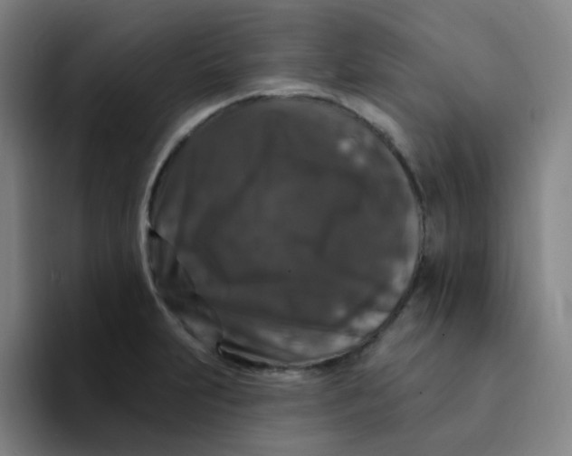 X0000094231231200711161903