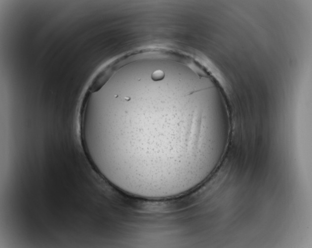 X0000094231232200711161903