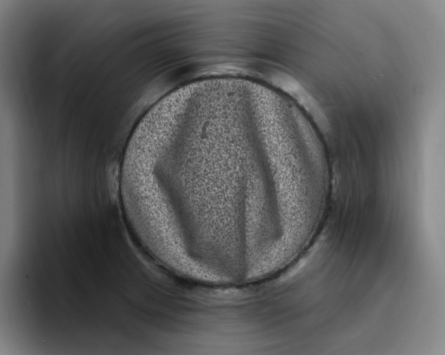 X0000094231233200711161903