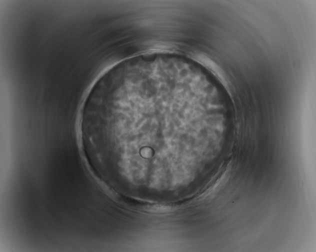 X0000094231235200711161903