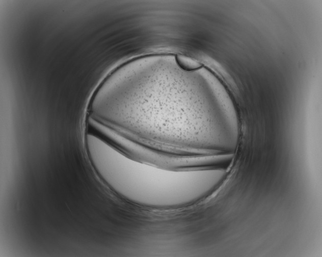 X0000094231236200711161903