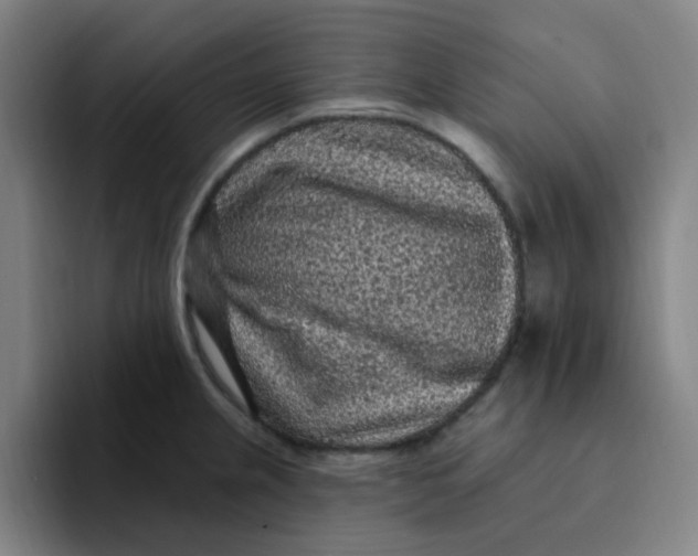 X0000094231237200711161903