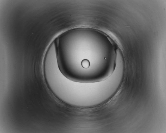 X0000094231238200711161903