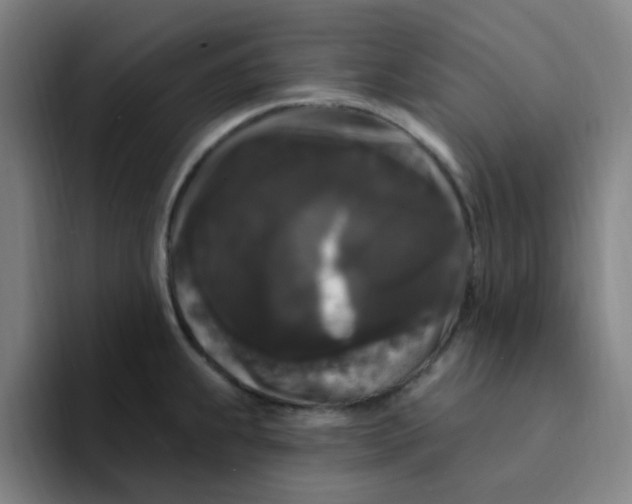 X0000094231239200711161903