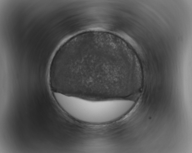 X0000094231240200711161903