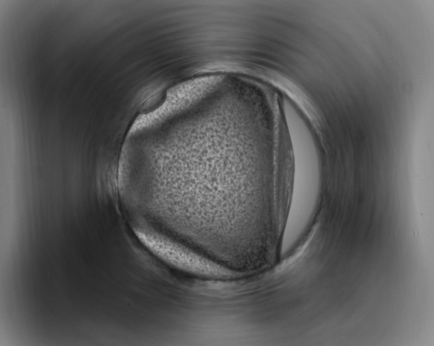 X0000094231241200711161903