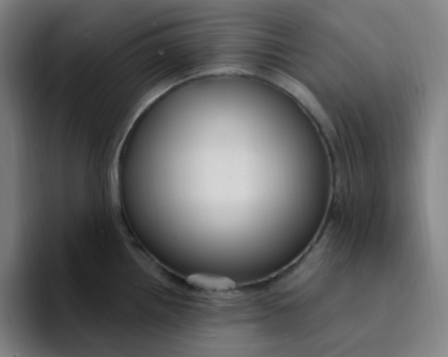 X0000094231242200711161903