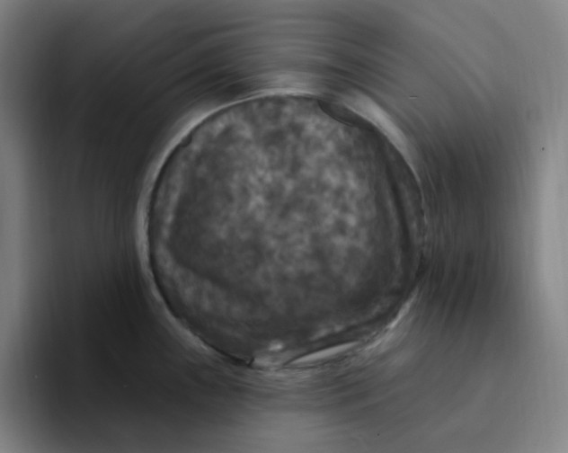 X0000094231243200711161903