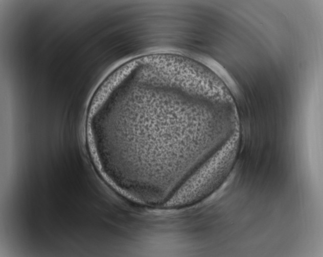 X0000094231244200711161903