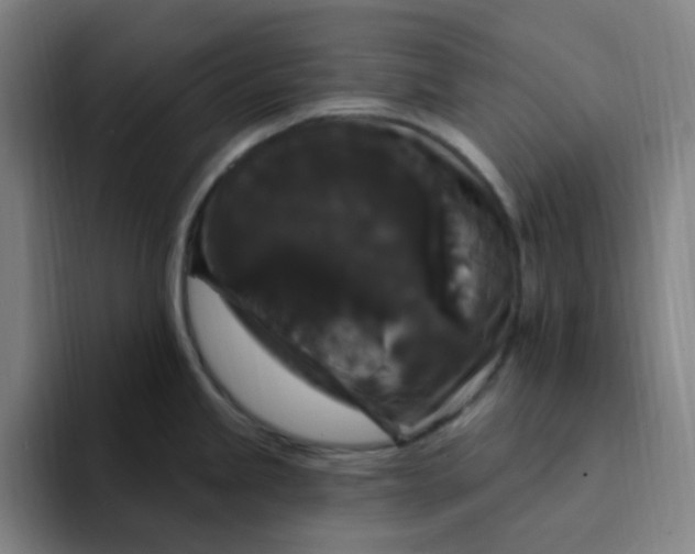 X0000094231245200711161903