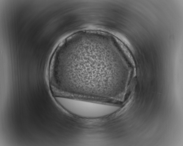 X0000094231247200711161903