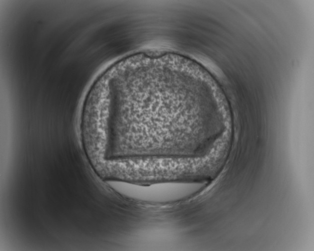 X0000094231248200711161903