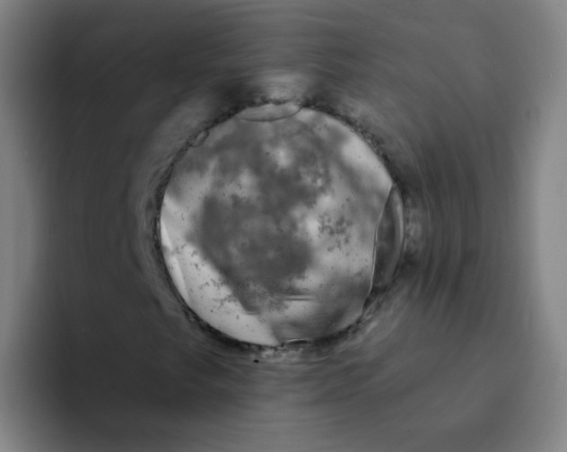 X0000094231249200711161902