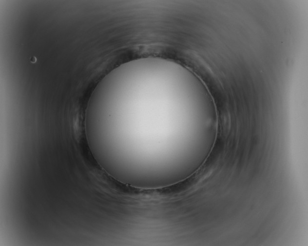 X0000094231250200711161902