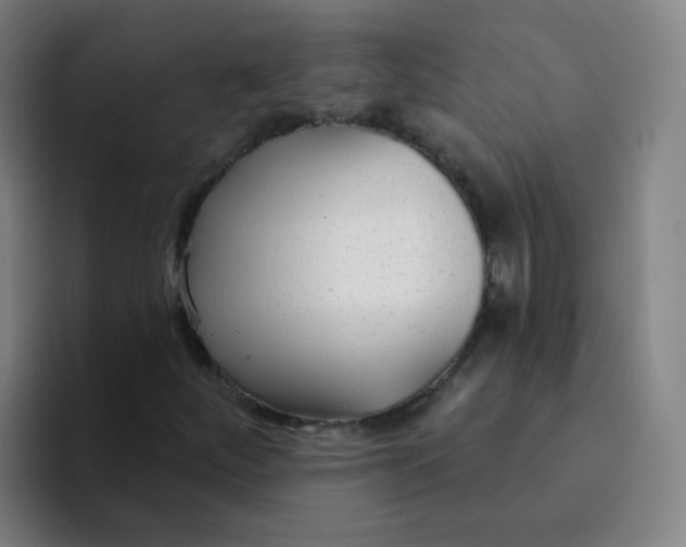 X0000094231252200711161902