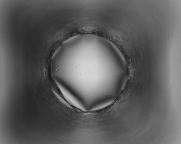 X0000094231253200711161902