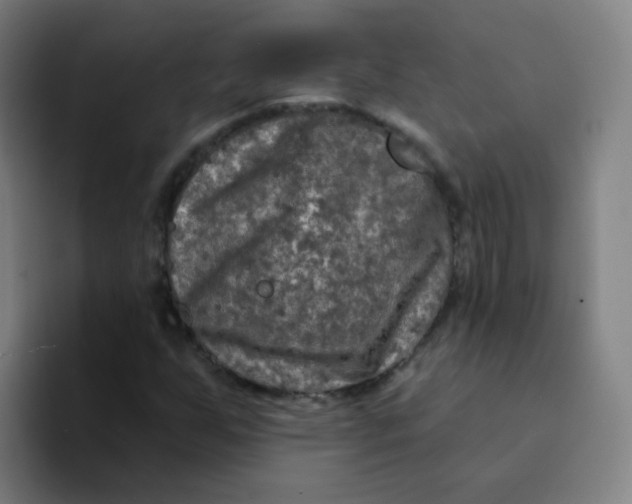 X0000094231255200711161902