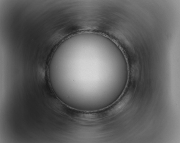 X0000094231257200711161902