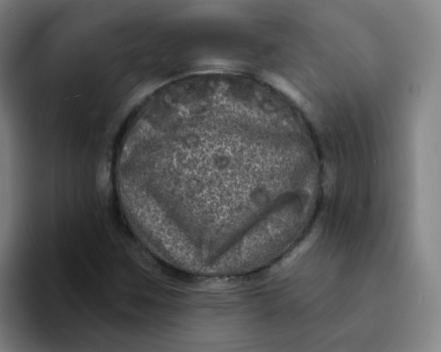 X0000094231259200711161902