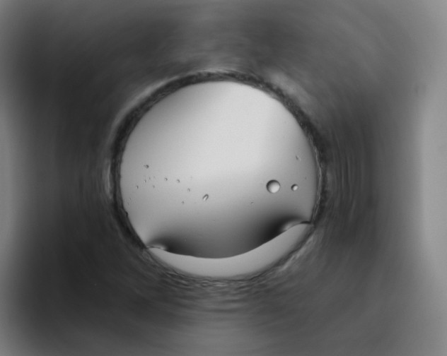 X0000094231262200711161902