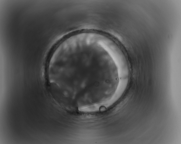 X0000094231263200711161902