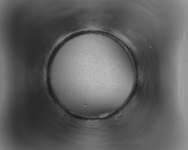 X0000094231264200711161902