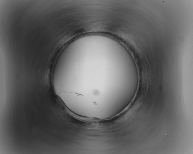 X0000094231265200711161902