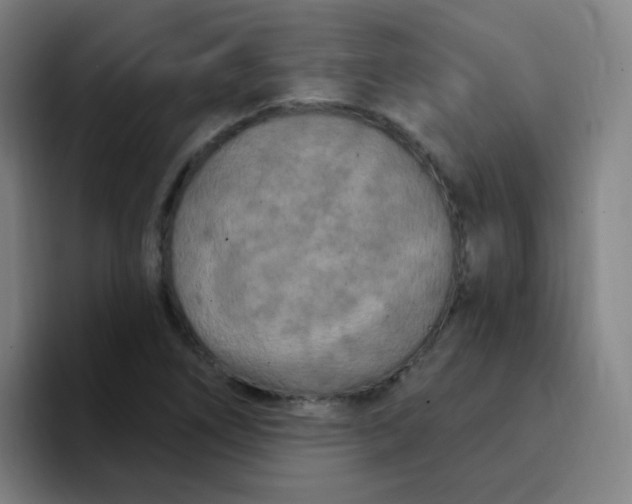 X0000094231266200711161902