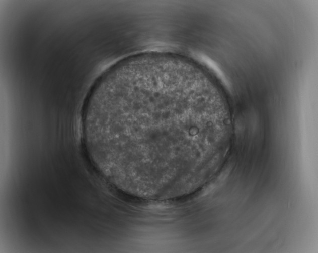 X0000094231267200711161902