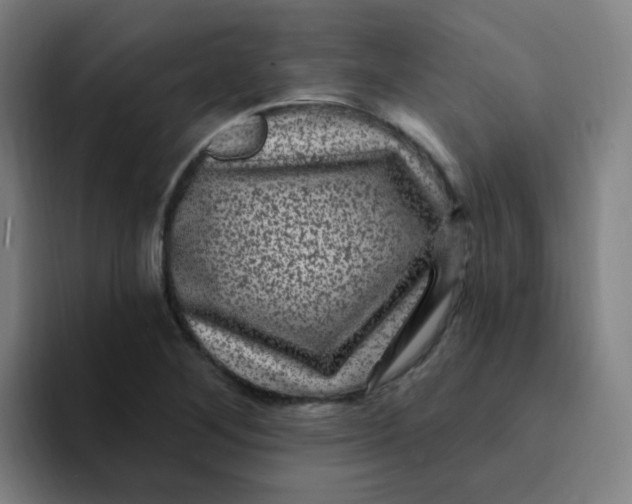 X0000094231268200711161902