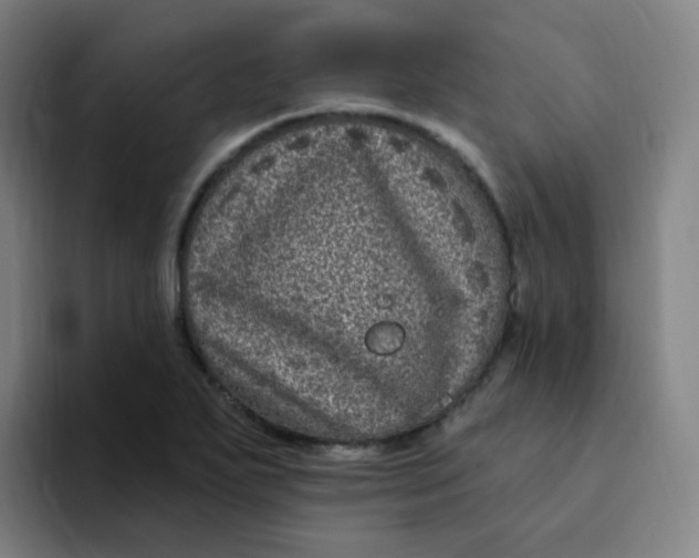 X0000094231271200711161902