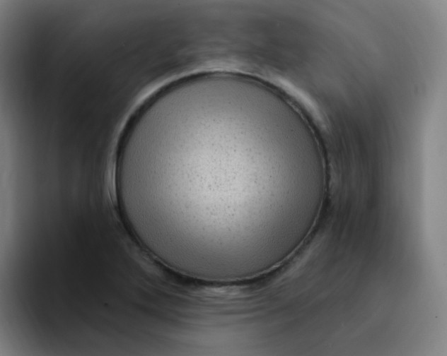 X0000094231272200711161902