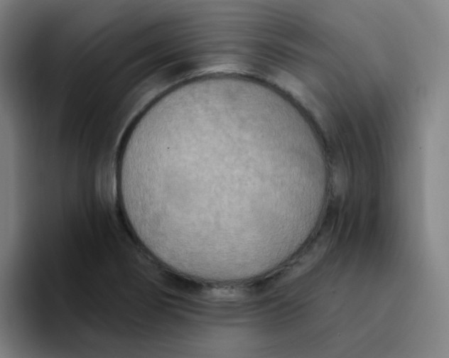 X0000094231274200711161902