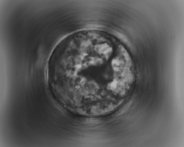 X0000094231275200711161902