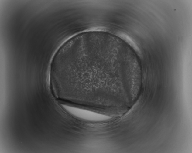 X0000094231276200711161902