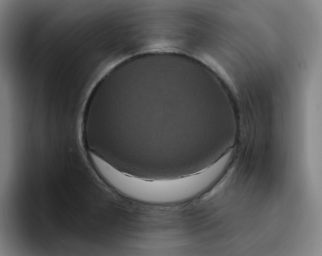 X0000094231277200711161902