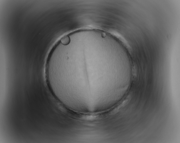 X0000094231278200711161902